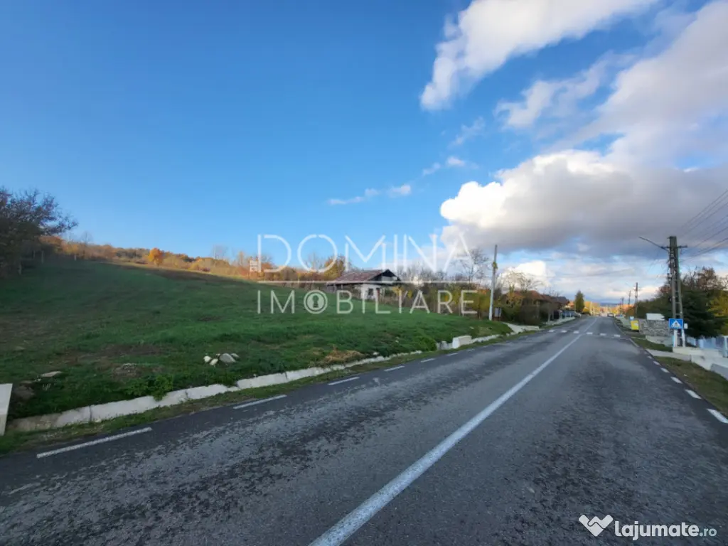 Teren 11.939 mp Bălănești – ideal rezidențial/comercia