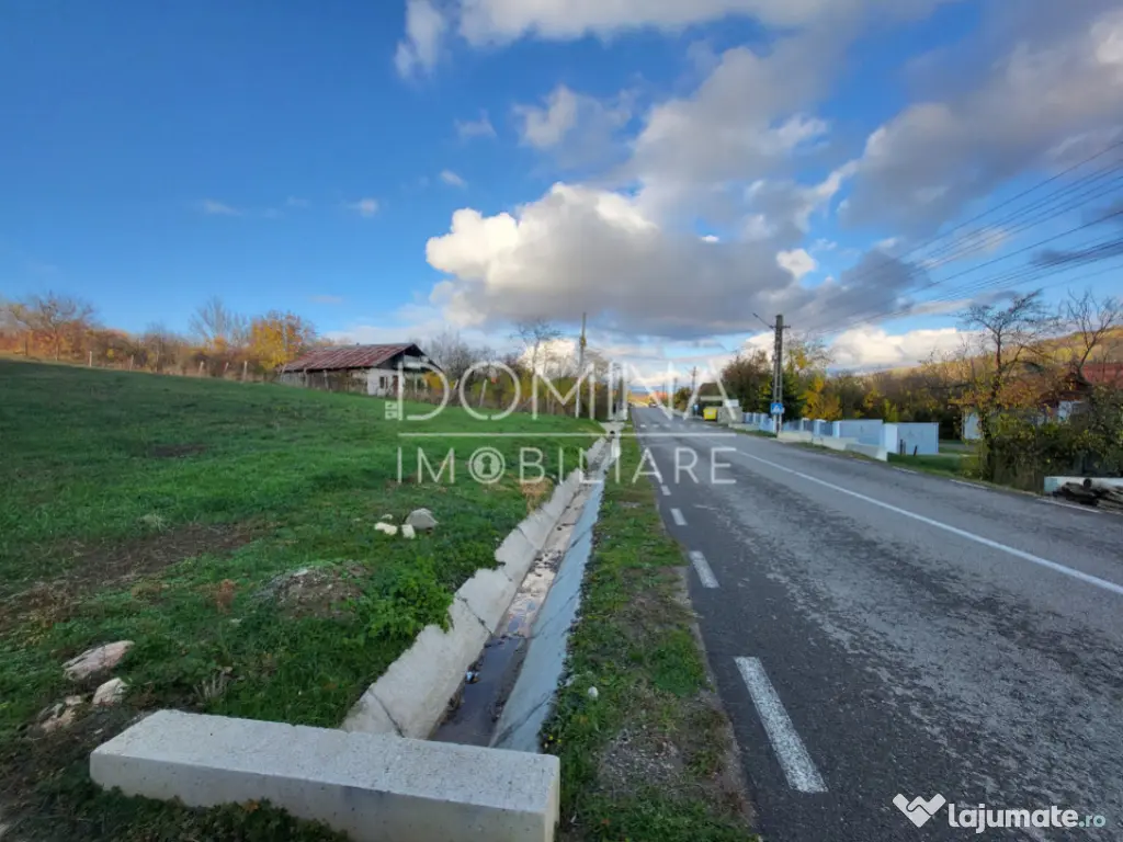 Teren 11.939 mp Bălănești – ideal rezidențial/comercia