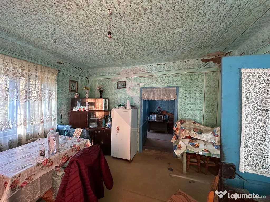 GOSPODARIE - liniste - natura - DE VANZARE 