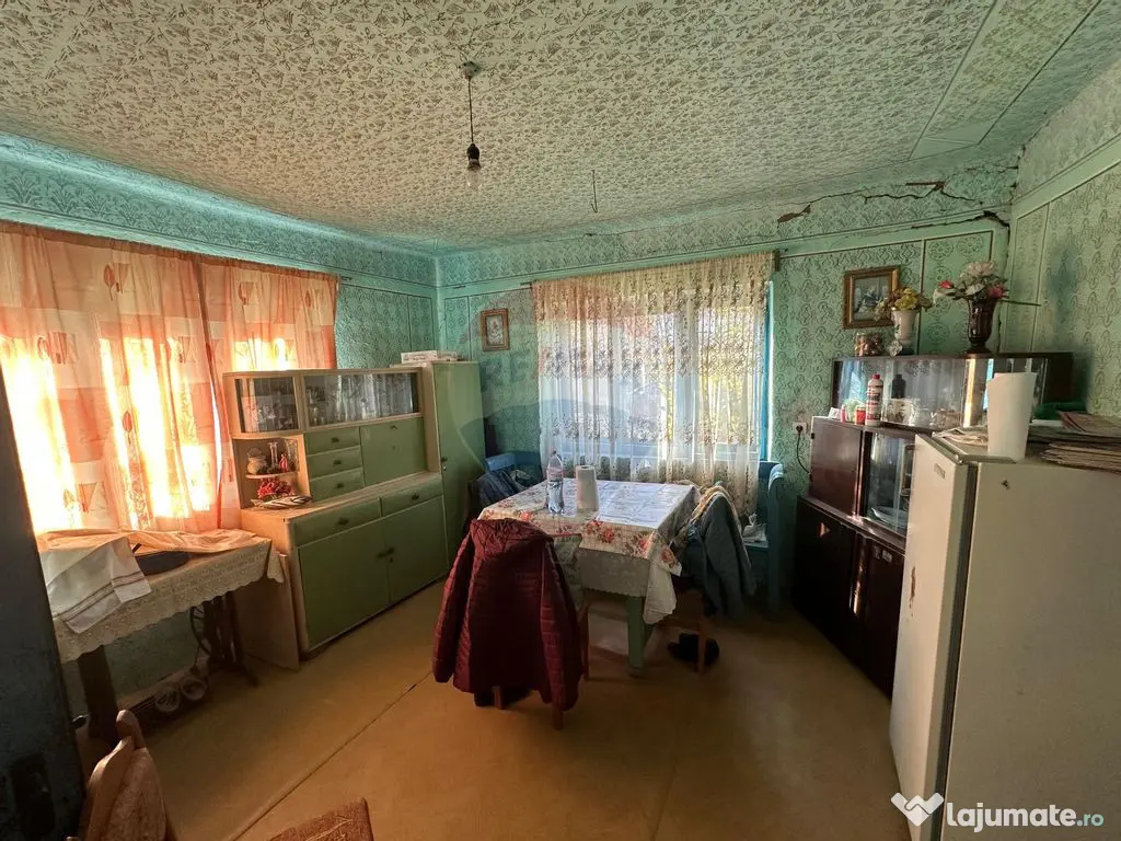 GOSPODARIE - liniste - natura - DE VANZARE 