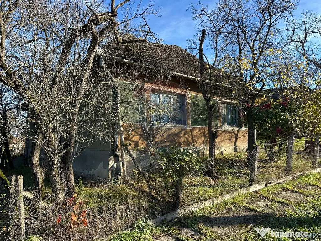 GOSPODARIE - liniste - natura - DE VANZARE 