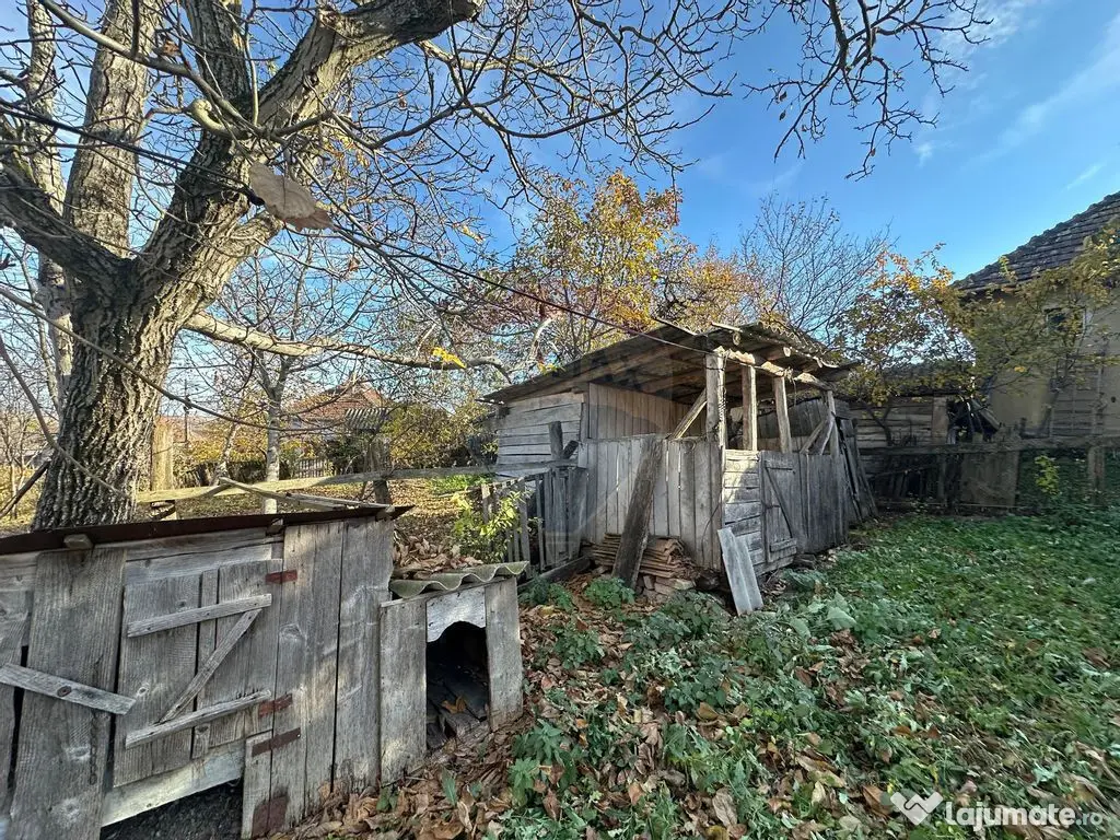 GOSPODARIE - liniste - natura - DE VANZARE 