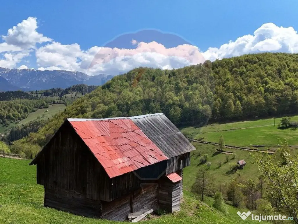 Peisaj spectaculos | Utilități ITeren intravilan Moieci... 