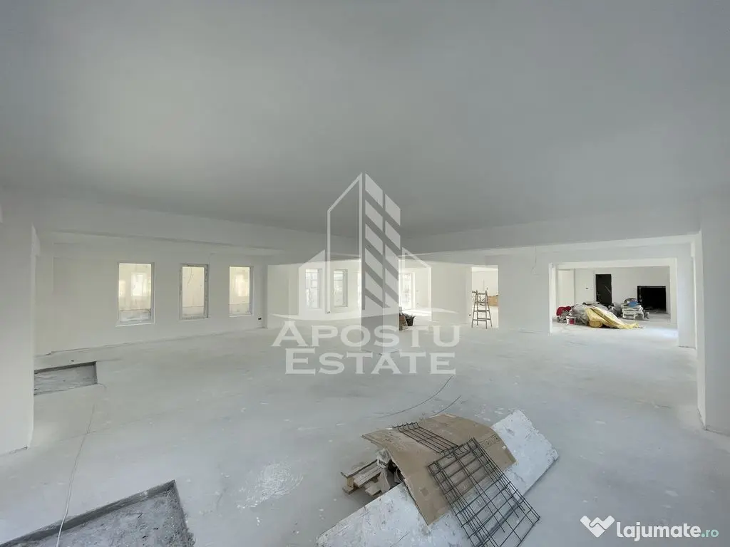 Spatiu comercial 120 mp, zona Lipovei , artera circulata 