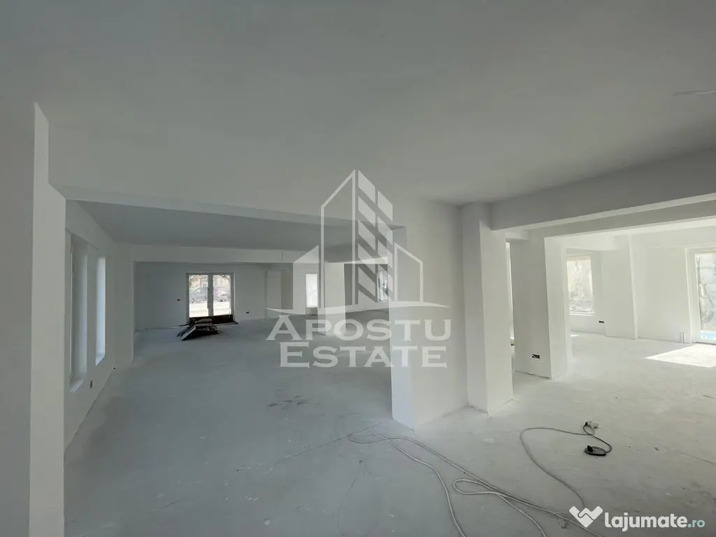 Spatiu comercial 120 mp, zona Lipovei , artera circulata 