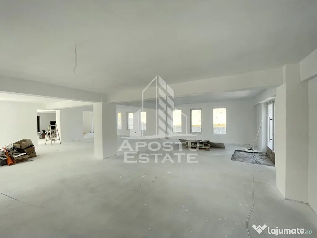 Spatiu comercial 120 mp, zona Lipovei , artera circulata 