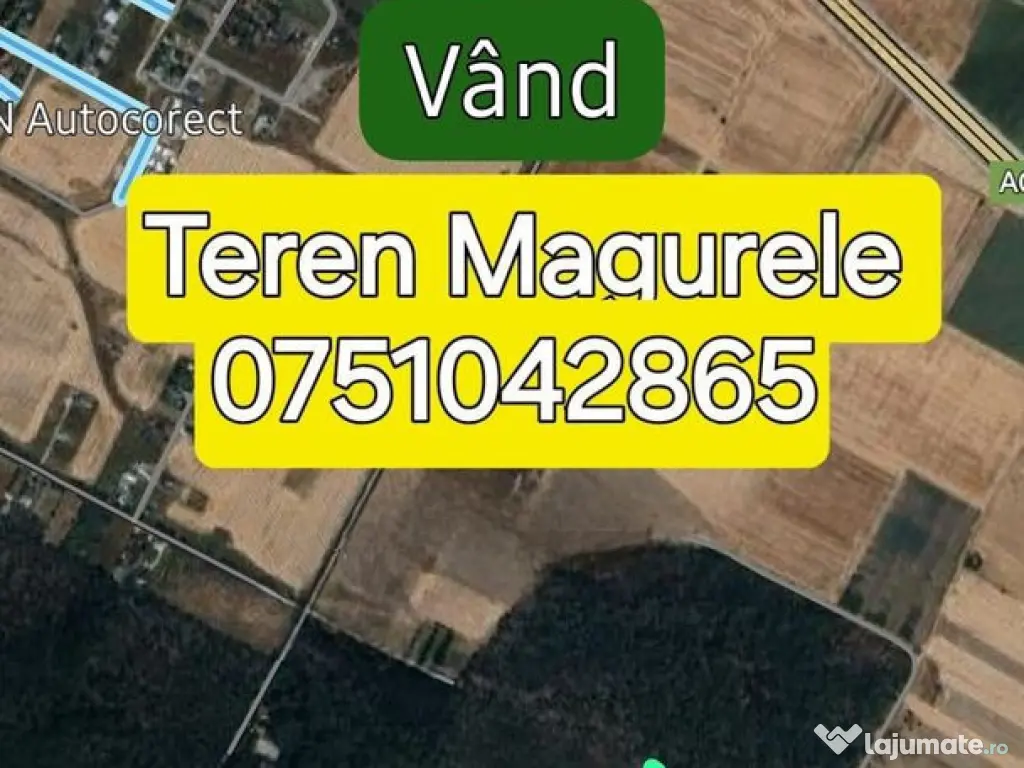 Teren Cornetu langa padure