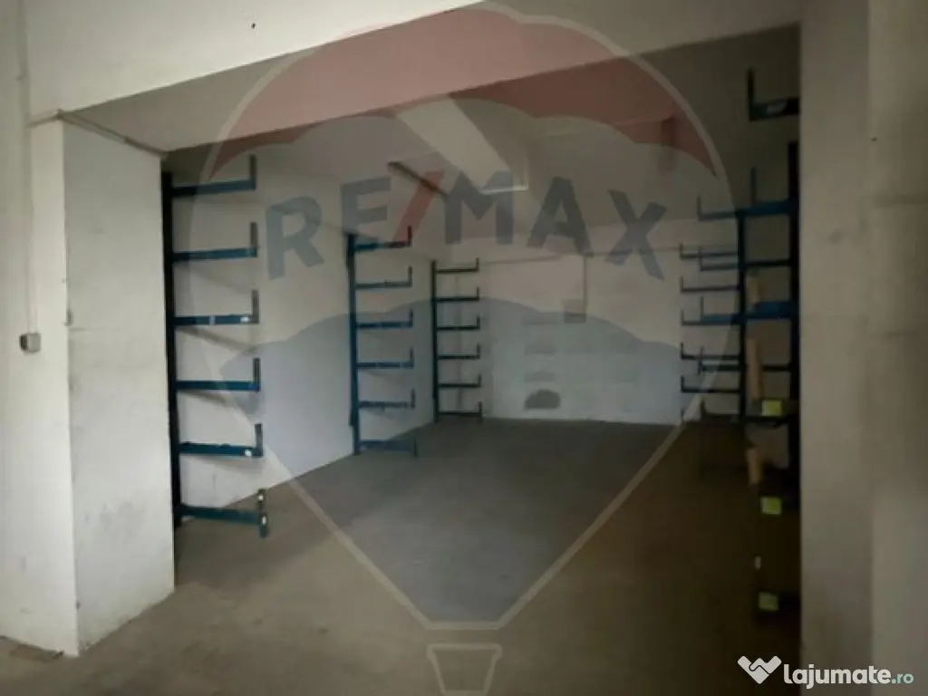 Hala - zona KAUFLAND Burdujeni