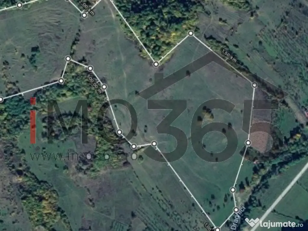 Teren 15 Hectare in sat | Mihaesti | Arges 