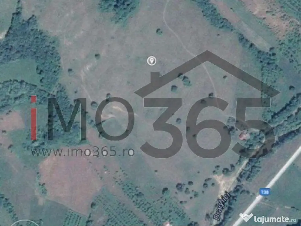 Teren 15 Hectare in sat | Mihaesti | Arges 