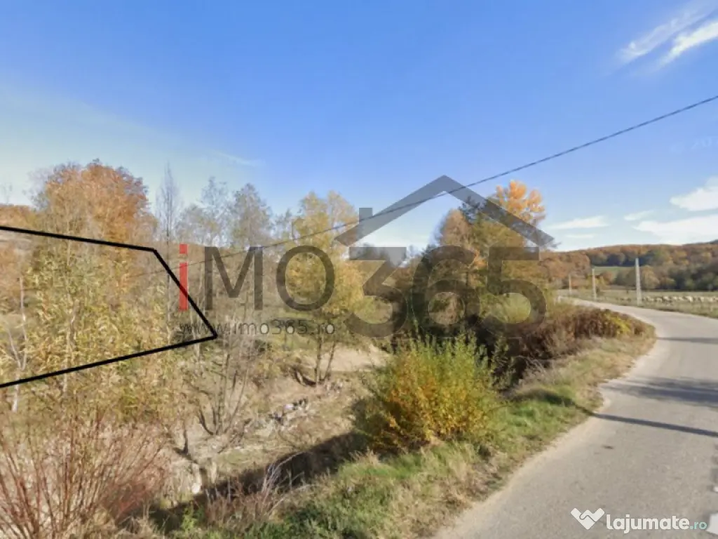Teren 15 Hectare in sat | Mihaesti | Arges 