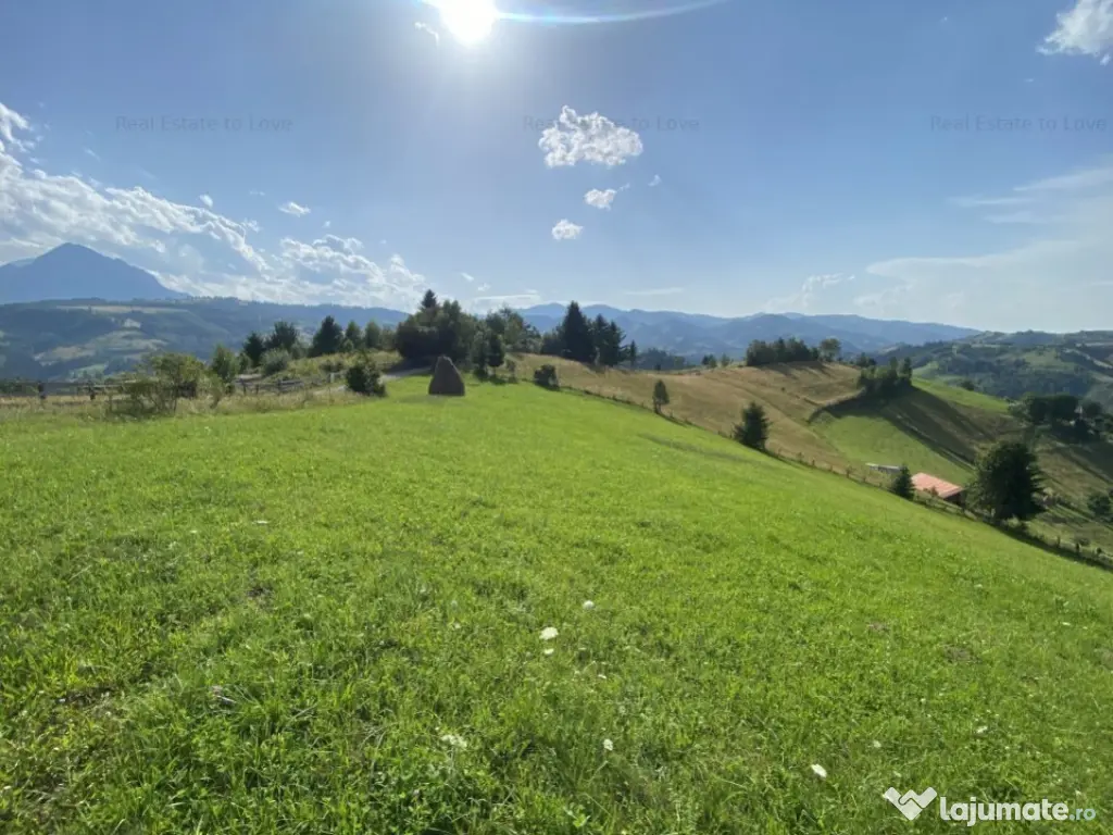 Teren Poiana Marului -Zarnesti -Brasov 