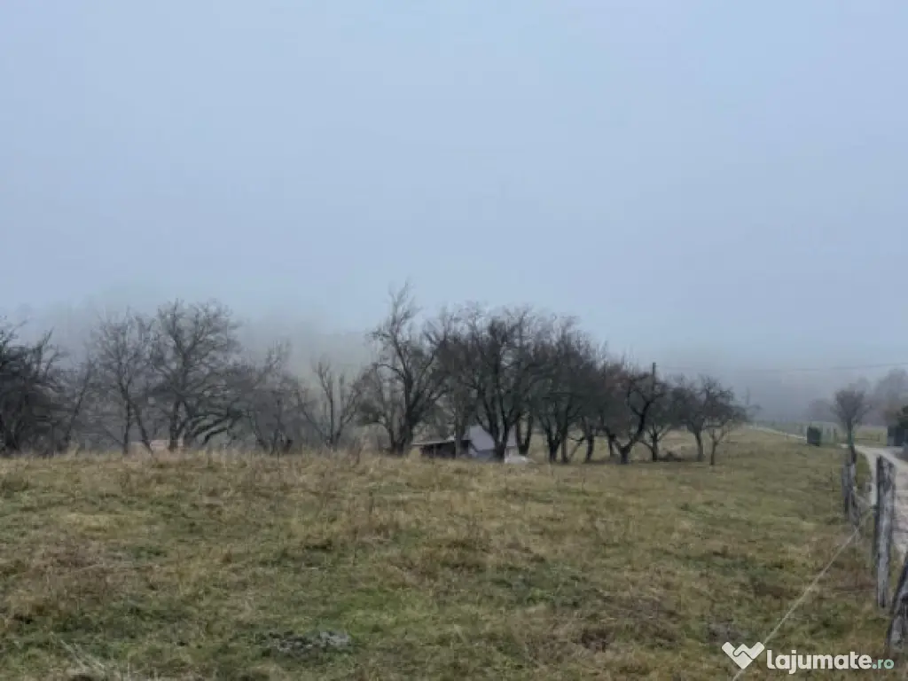 Teren Poiana Marului -Zarnesti -Brasov 