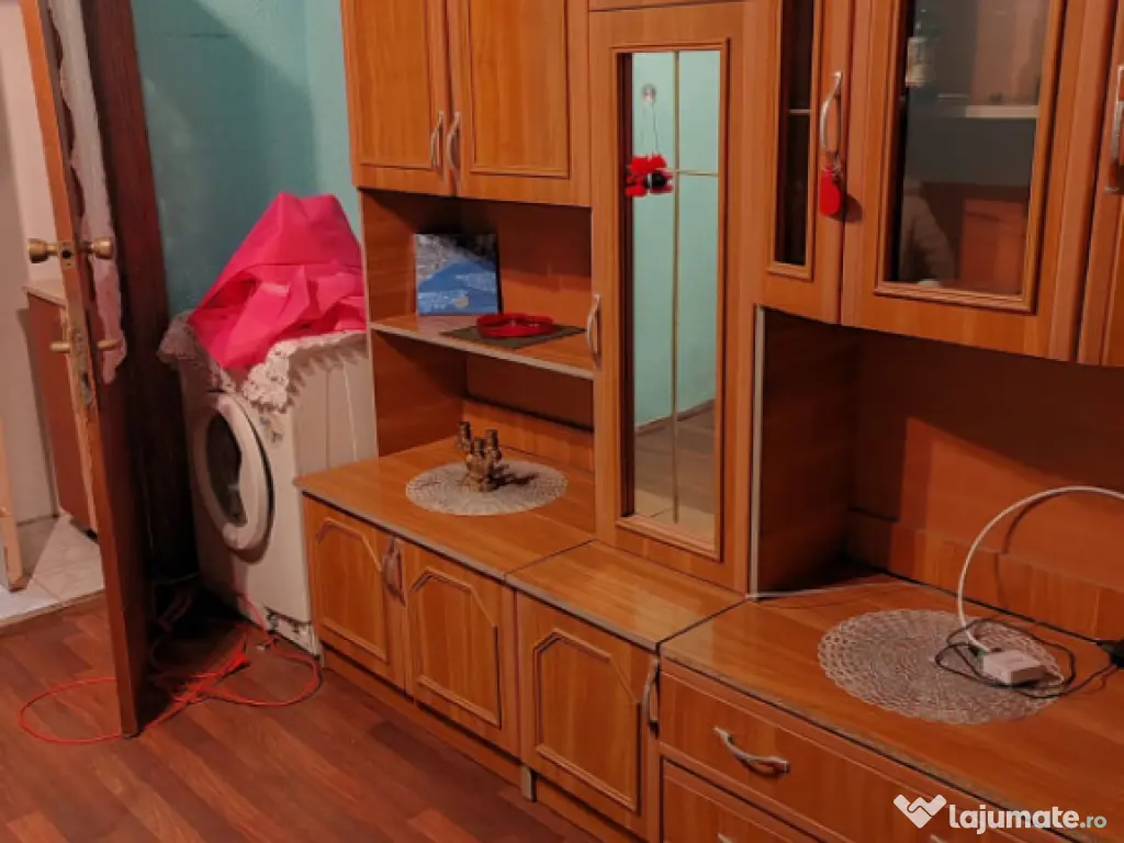 Camera de camin - 21 mp - Valea Rosie