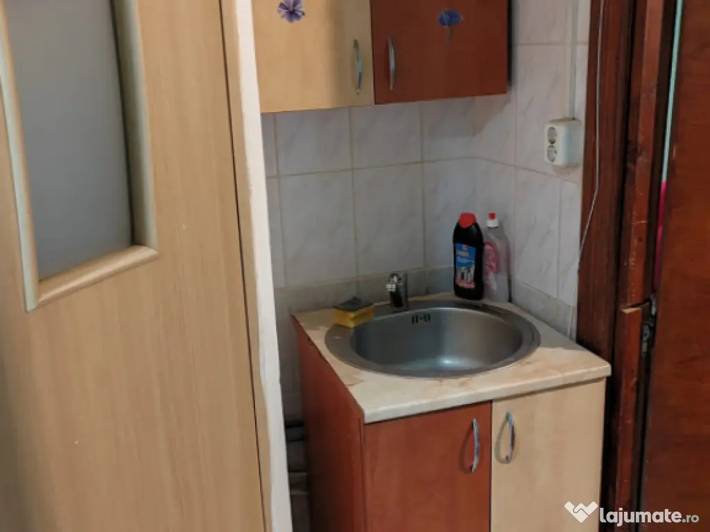 Camera de camin - 21 mp - Valea Rosie