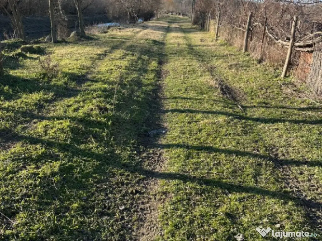 Teren- intravilan in DELTA- loc BALTENII DE JOS