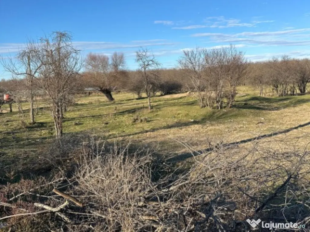 Teren- intravilan in DELTA- loc BALTENII DE JOS