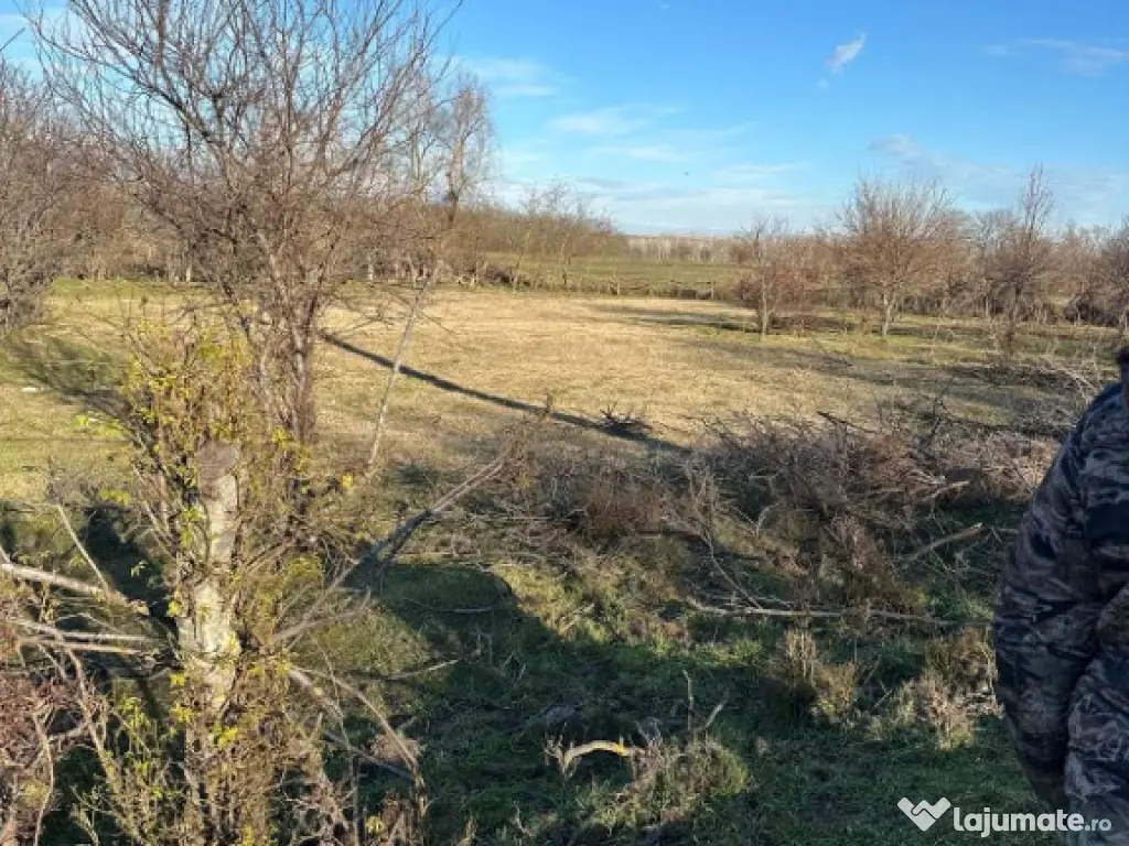 Teren- intravilan in DELTA- loc BALTENII DE JOS