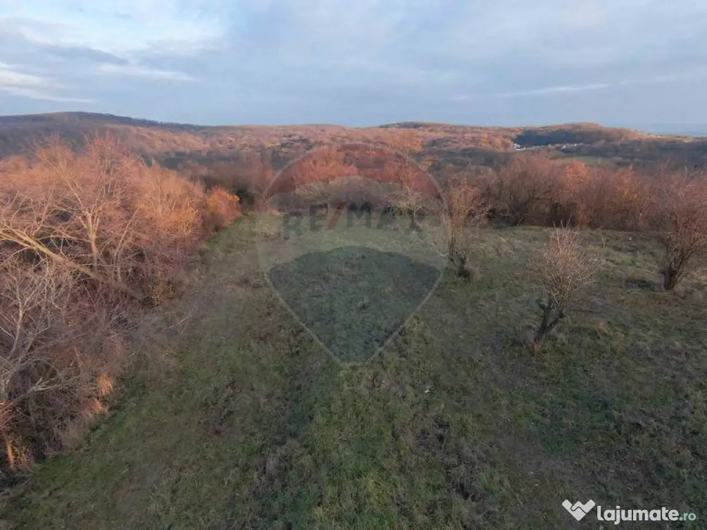 Teren intravilan de vânzare 915 mp – Săldăbagiu de M...