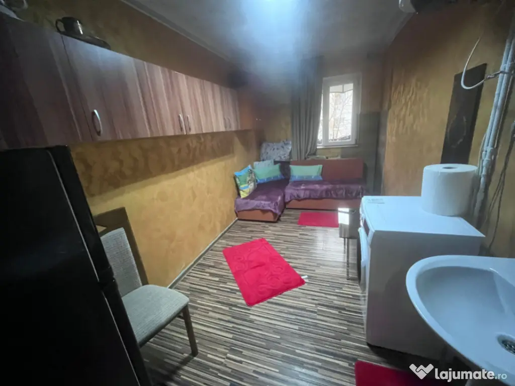 Camera de camin, 10.51 mp, zona Valea Rosie