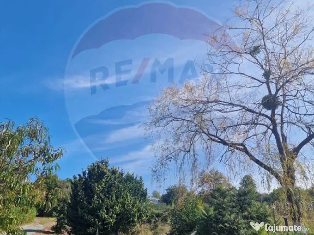 OCAZIE. De vanzare teren în Cicarlau - Strada 1 Mai - su...