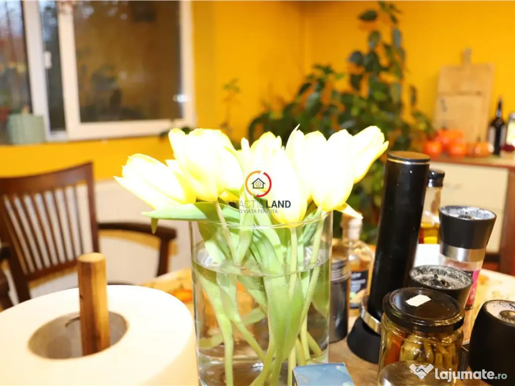 Vila Oportunitate Unica