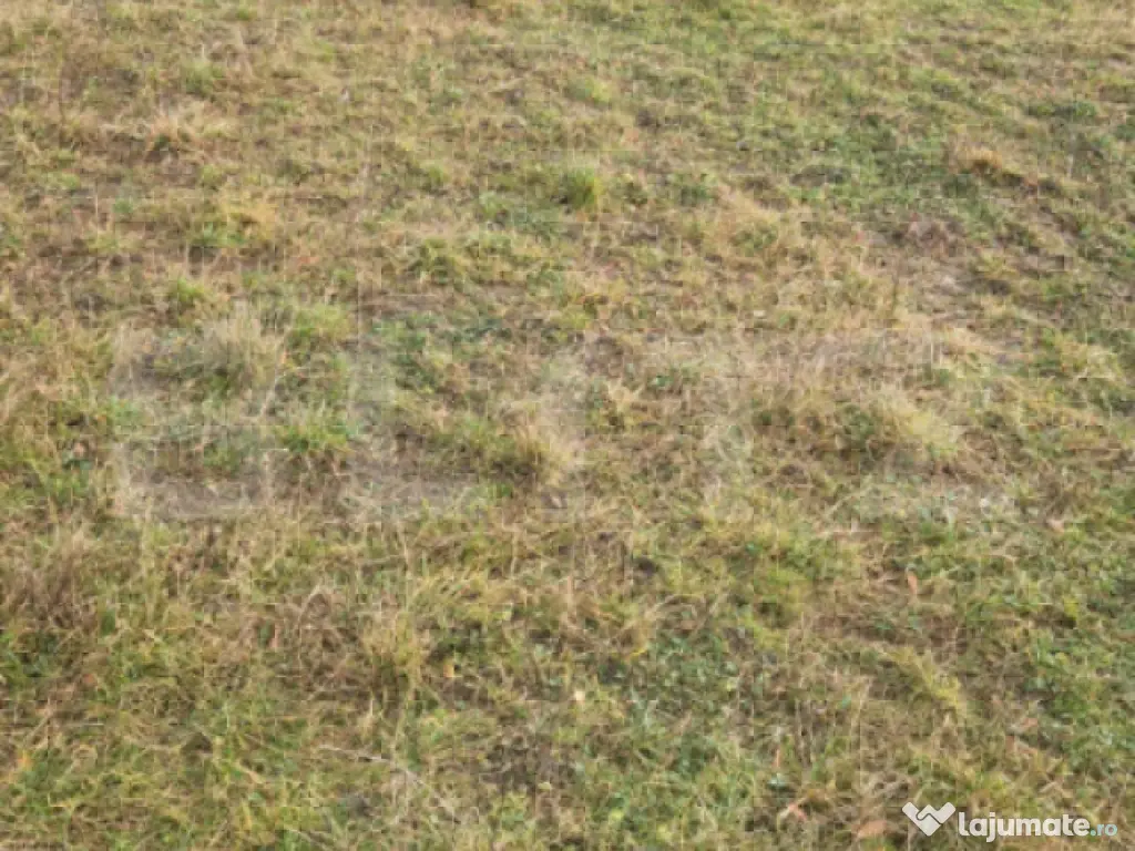 Teren intravilan Sanpetru - ideal c-tie casa- 500 mp