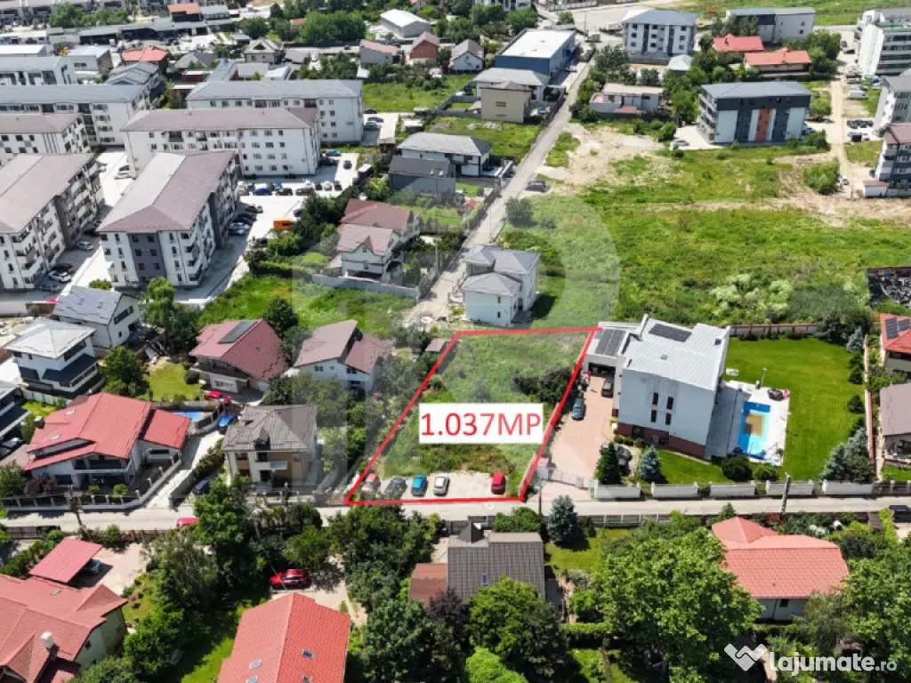 CHIAJNA-ROSU LOT 1037 MP