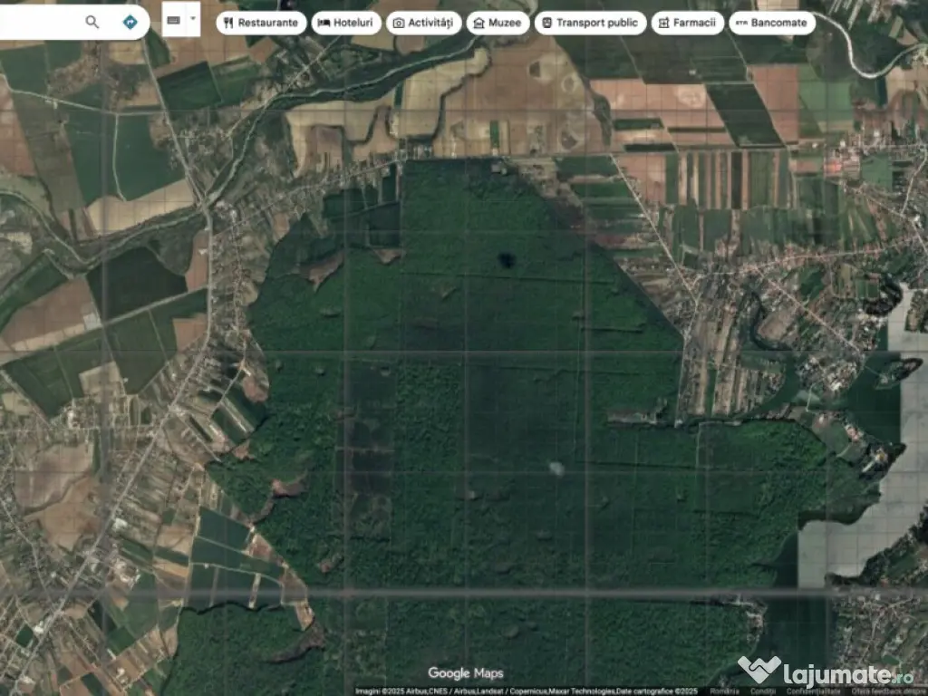 `Teren cu dubla deschidere, langa padure, Snagov - Strada Pa 