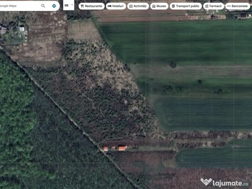 `Teren cu dubla deschidere, langa padure, Snagov - Strada Pa 