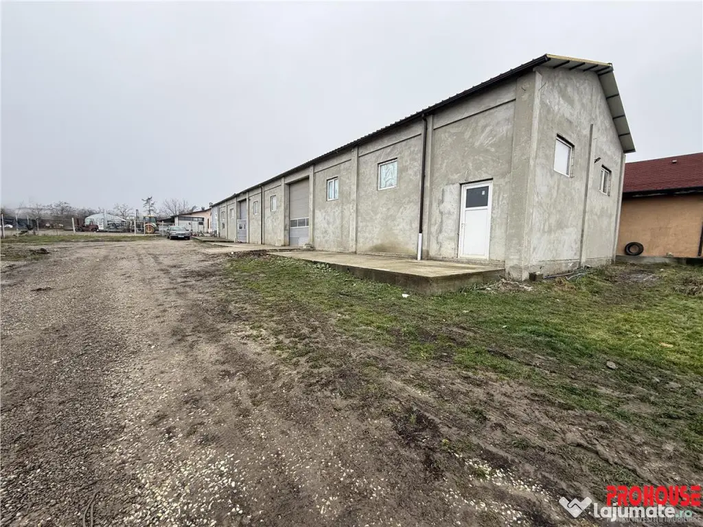 Hal#259; de închiriat în Luizi Calugara - 370 mp constr...