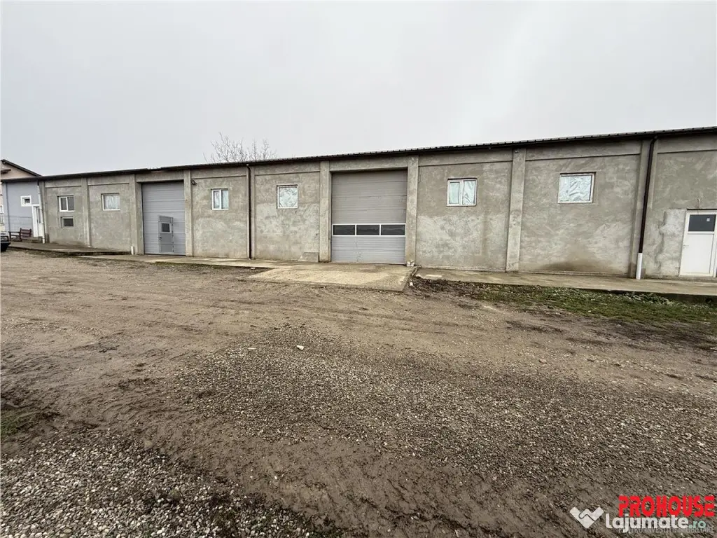 Hal#259; de închiriat în Luizi Calugara - 370 mp constr...