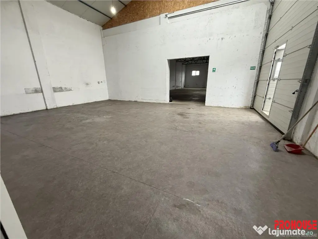 Hal#259; de închiriat în Luizi Calugara - 370 mp constr...