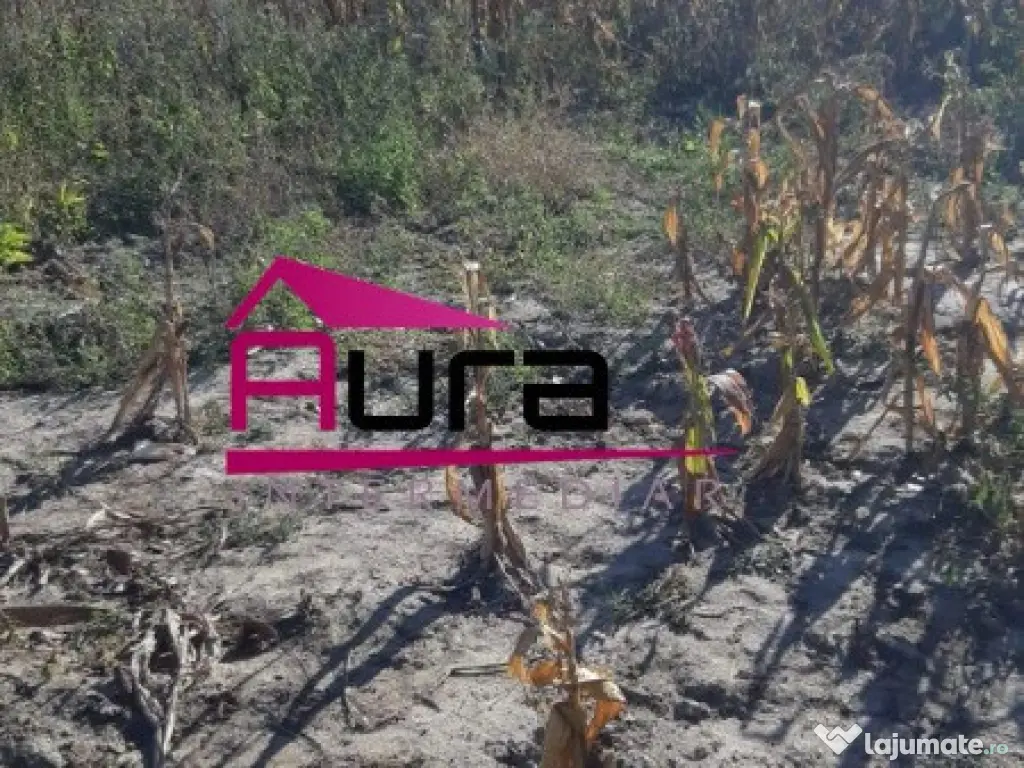 Teren Intravilan Sat Iazurile,Com.Valea Nucarilor,Jud.Tulcea 