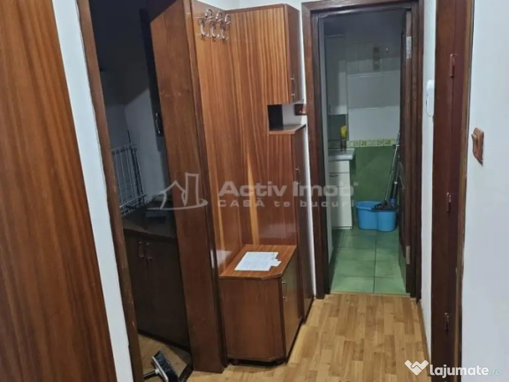 Iancu de Hunedoara - studio - ultracentral 