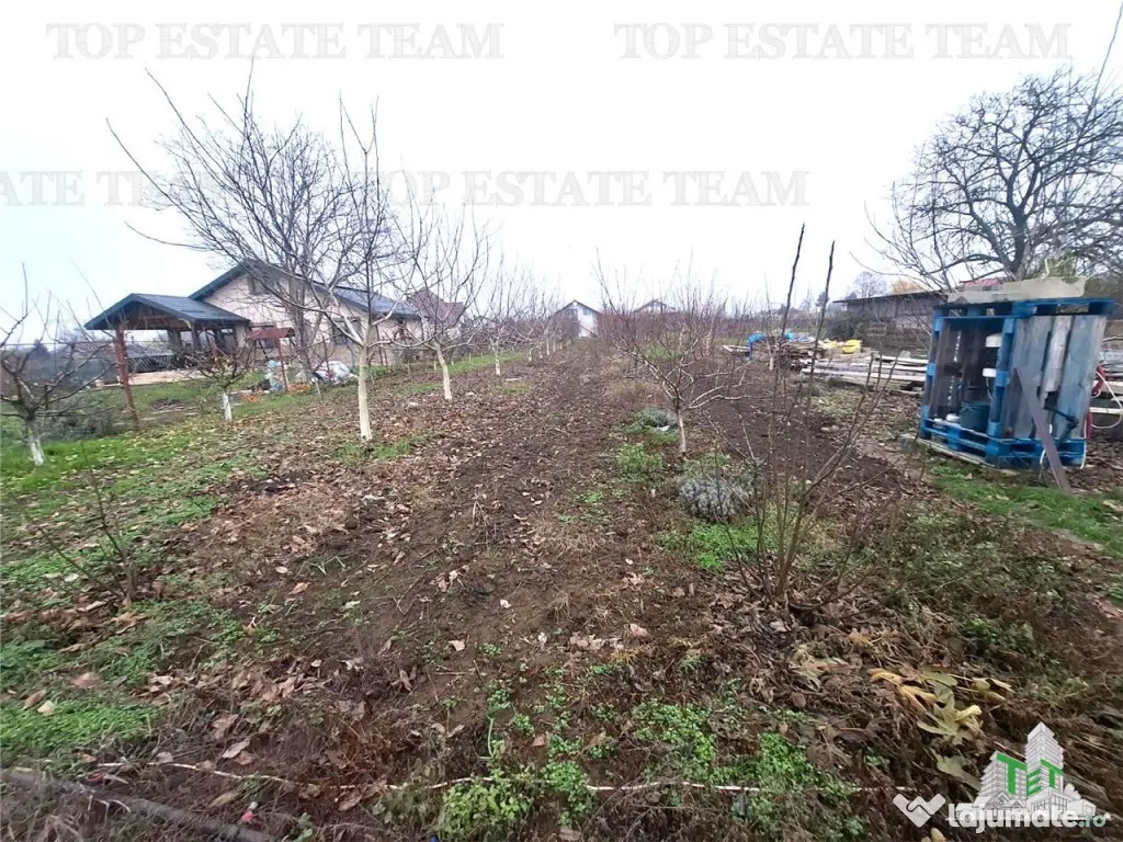 Teren Intravilan Moara Vlasiei 963 mp, Zona Superba, 