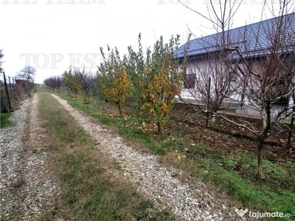 Teren Intravilan Moara Vlasiei 963 mp, Zona Superba, 