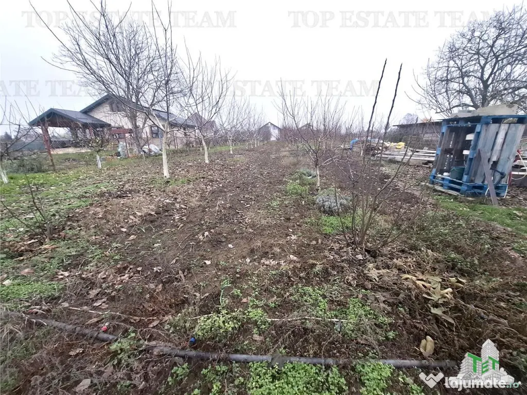 Teren Intravilan Moara Vlasiei 963 mp, Zona Superba, 