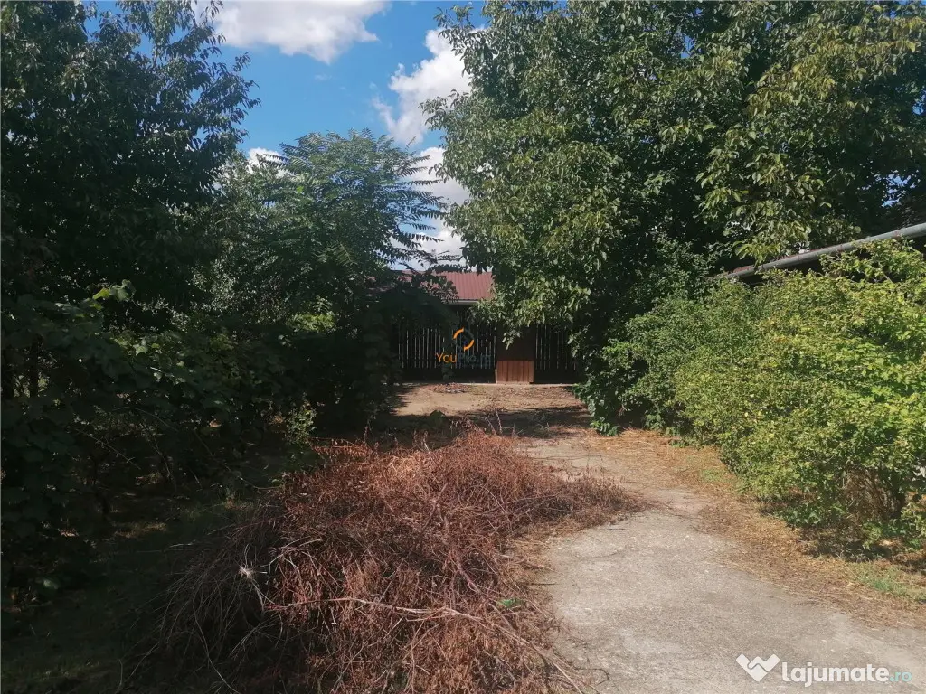 Teren Vatra Satului Centru Sag