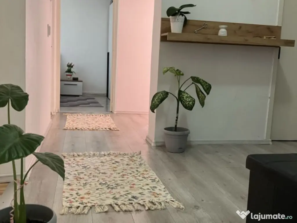 Apartament 3 camere Craiter,renovat 145000 Euro 