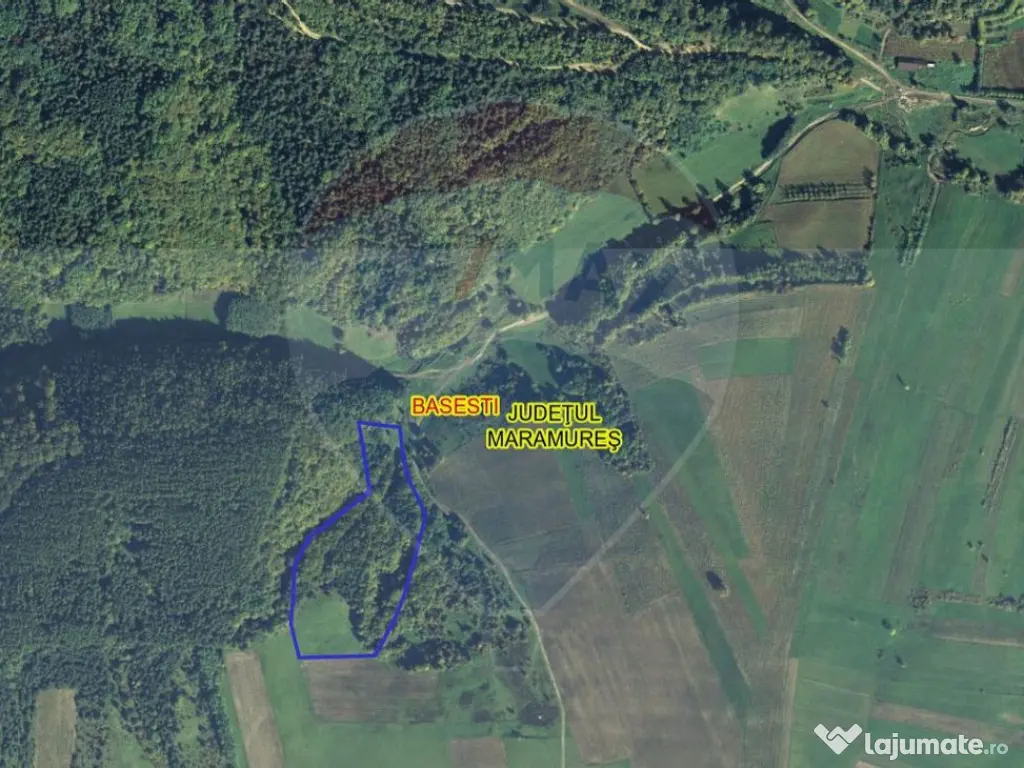 Pădure de vanzare cu zona de cabană Odesti