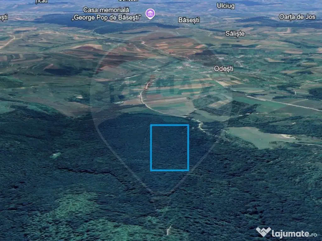 Pădure de vanzare cu zona de cabană Odesti