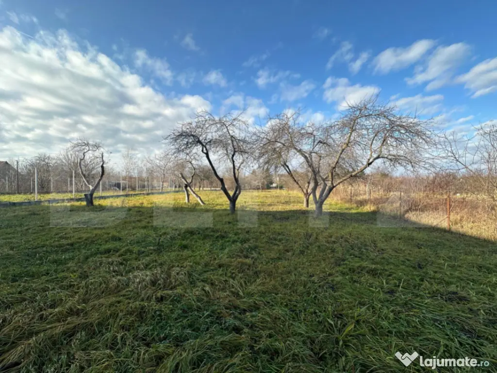 Teren de vanzare, 2366 mp - zona Bercu Rosu