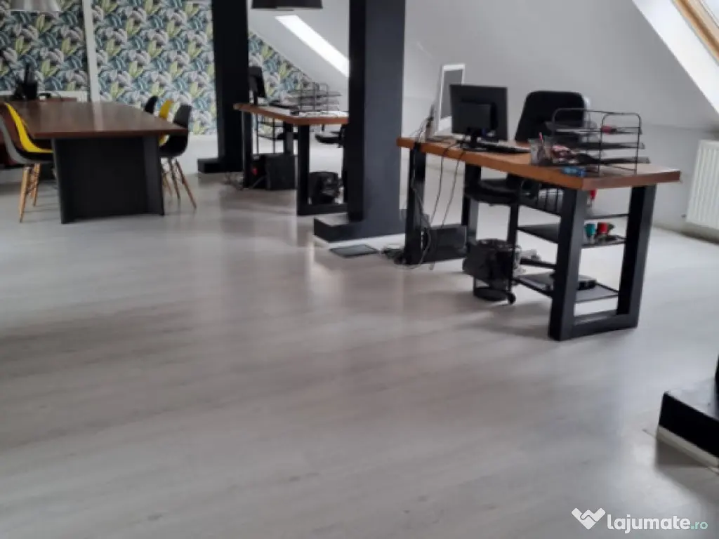 Spatii de Birou la Cheie 