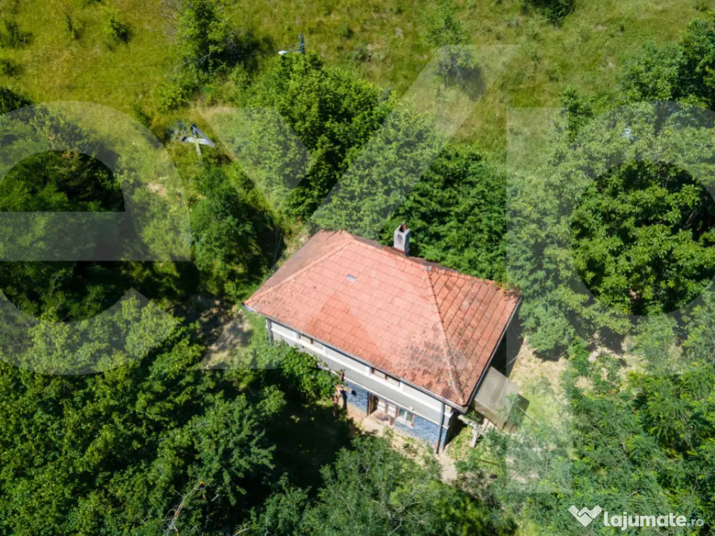 Proprietate cu potențial turistic, în zona Negreni – Buc 