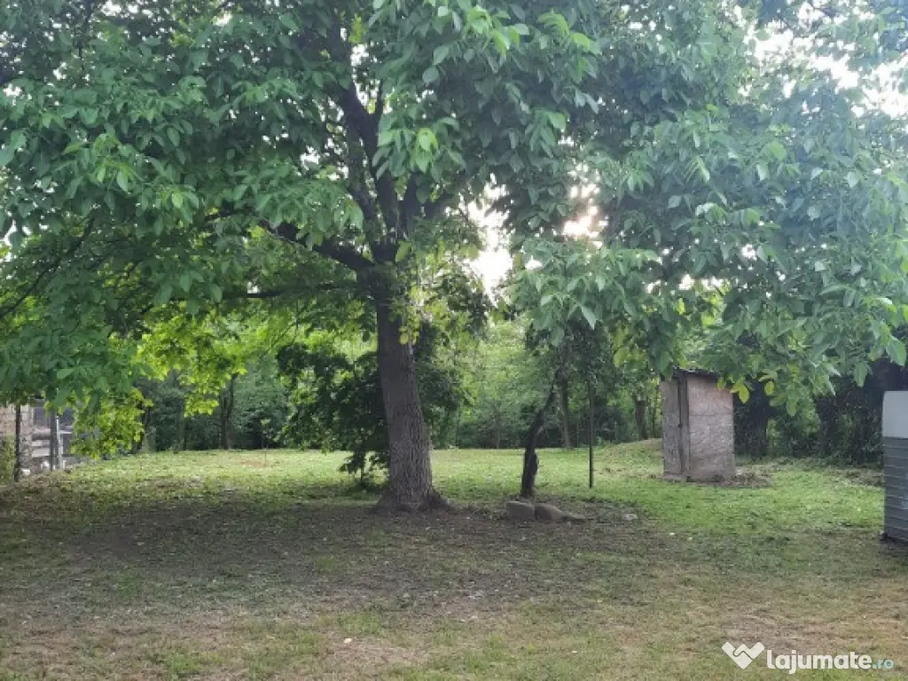 Teren intravilan, casa demolabila in Dumbravesti, Prahova 