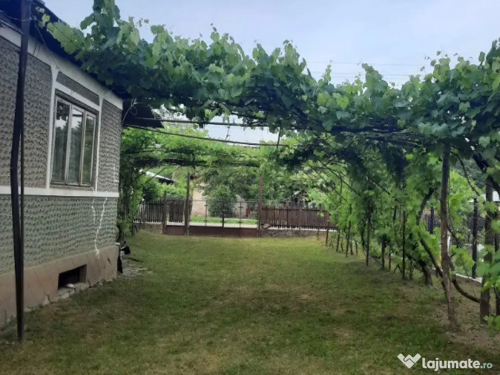 Teren intravilan, casa demolabila in Dumbravesti, Prahova 