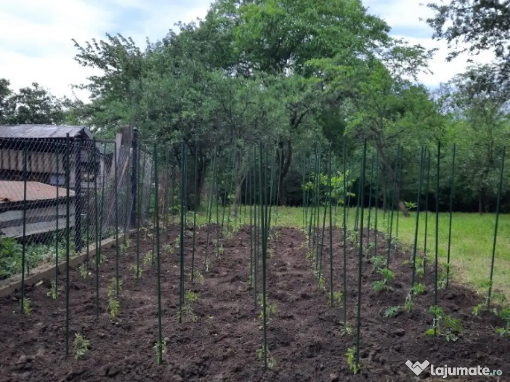 Teren intravilan, casa demolabila in Dumbravesti, Prahova 