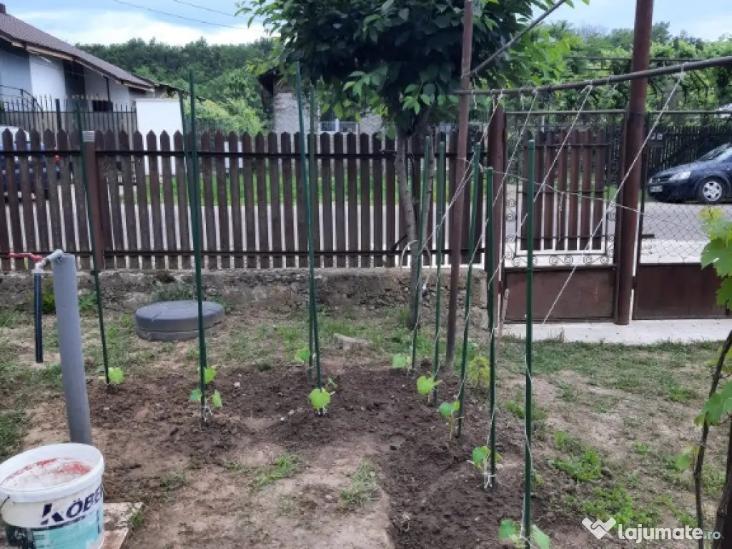 Teren intravilan, casa demolabila in Dumbravesti, Prahova 