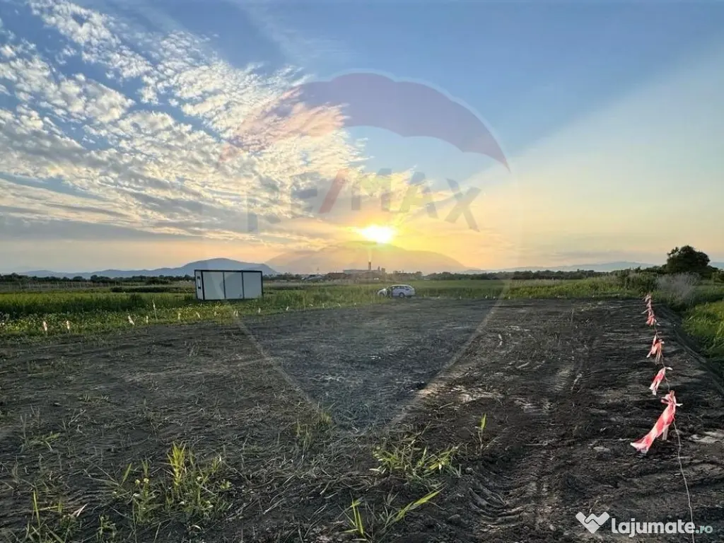 Teren intrare Sanpetru 668mp, str Tudor Arghezi-zona cart... 